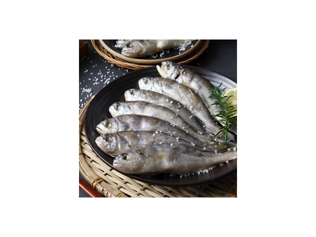 가정용법성포영광굴비 추천 TOP10 내돈내산 구매 아이템