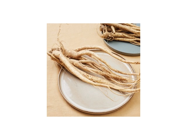 6년근약도라지 종류 및 추천-리뷰 스펙 가격 비교