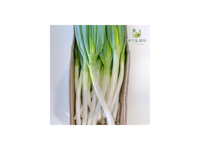 깐대파10kg 추천: 가격 대비 만족도가 높은 제품